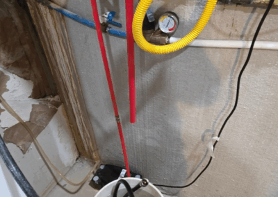 home backflow test