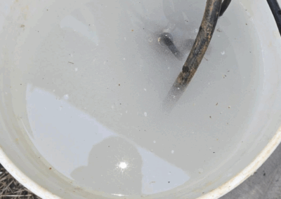 negative backflow test
